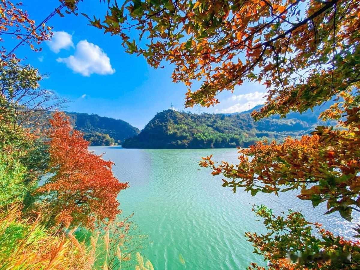 今天从工厂取了样品后，叫了一辆货拉拉送货，还第一次尝试了跟车。

司机是个小年轻