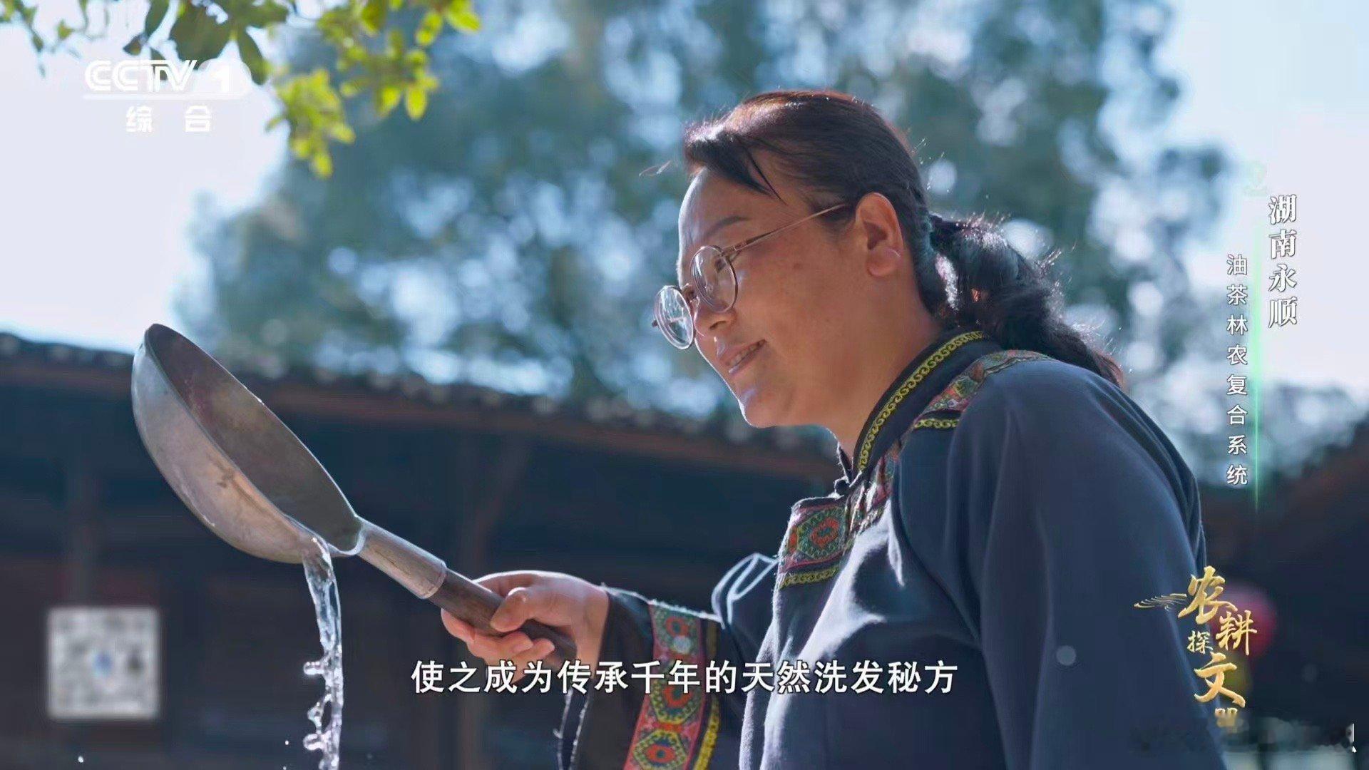 油茶榨干成了洗头神器 榨的是油，洗的是发，守的是智慧。湖南油茶，香透餐桌的茶油与