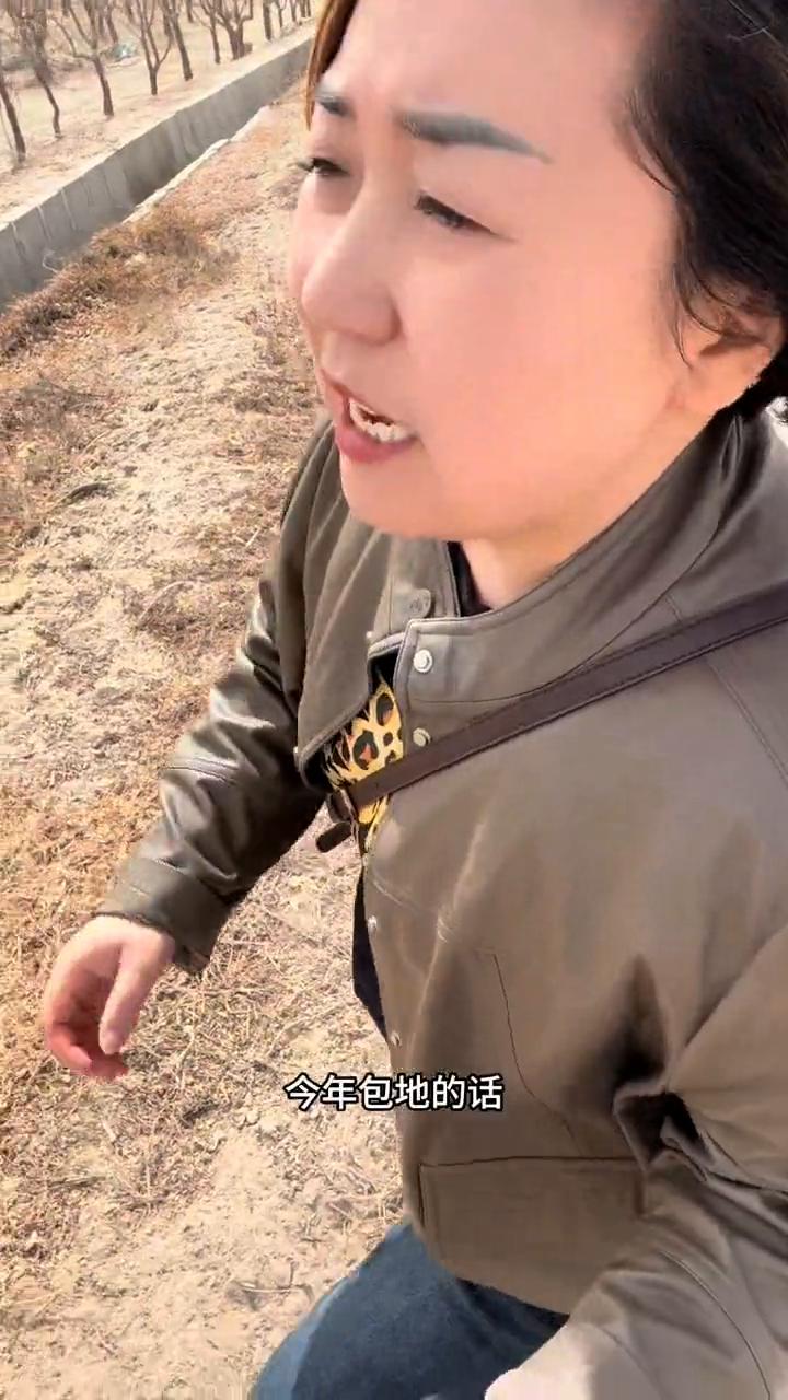 小青家60多亩枣园要承包，都是20多年的大枣树。
今天是3月11号，又到了一年一