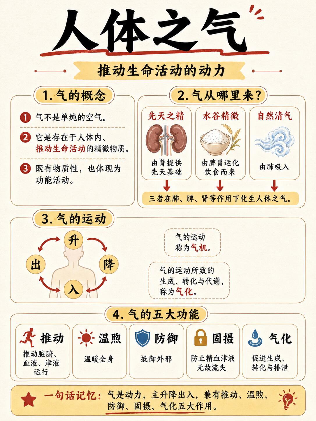 读懂「精气血津液神」= 打通中医一半脉络🔥很多人学不懂中医、调理总踩坑根本原因