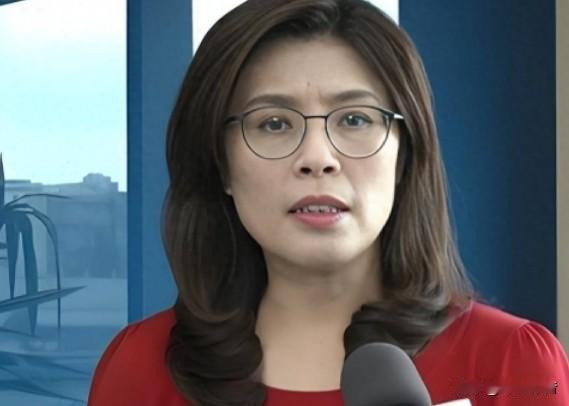 🔥⚖️🚨最新动态｜国民党2028大选制度提案曝光，拟改革提名、指挥与问责机制