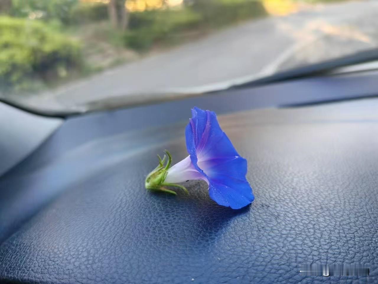 你做的单位的中层领导，有没有以身作则呢？
你苦口婆心要求下属按时交报表，自己却总