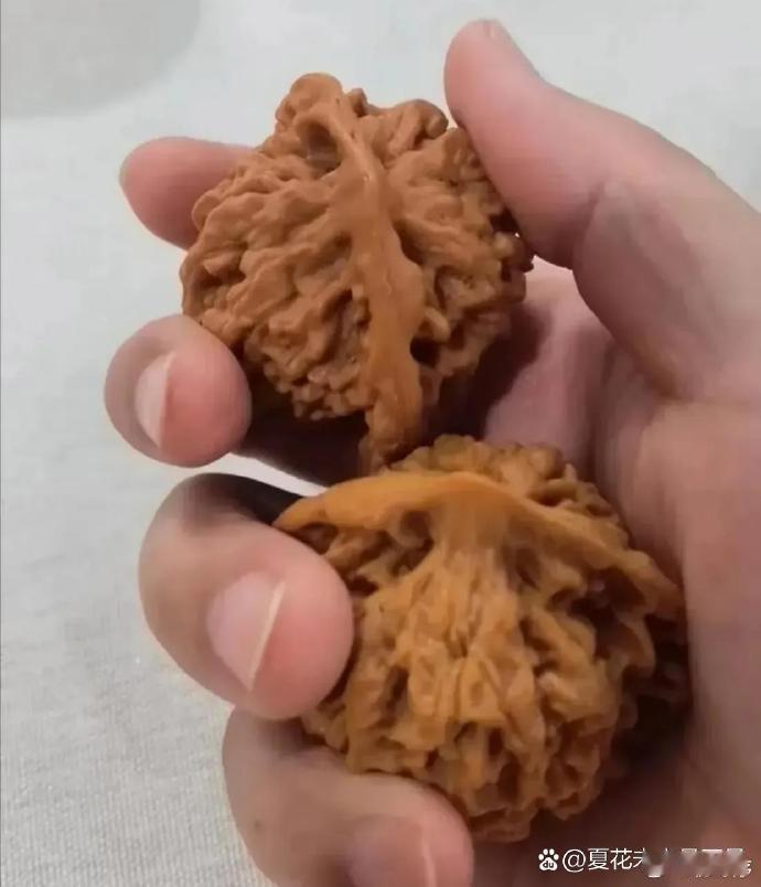 盘了六年的核桃，被我那调皮孩子砸开，瞬间傻眼。 