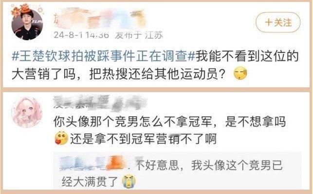 挑谁不好？疑似Meiko粉丝称王楚钦为“大营销”遭回怼：你头像的选手怎么不拿冠军