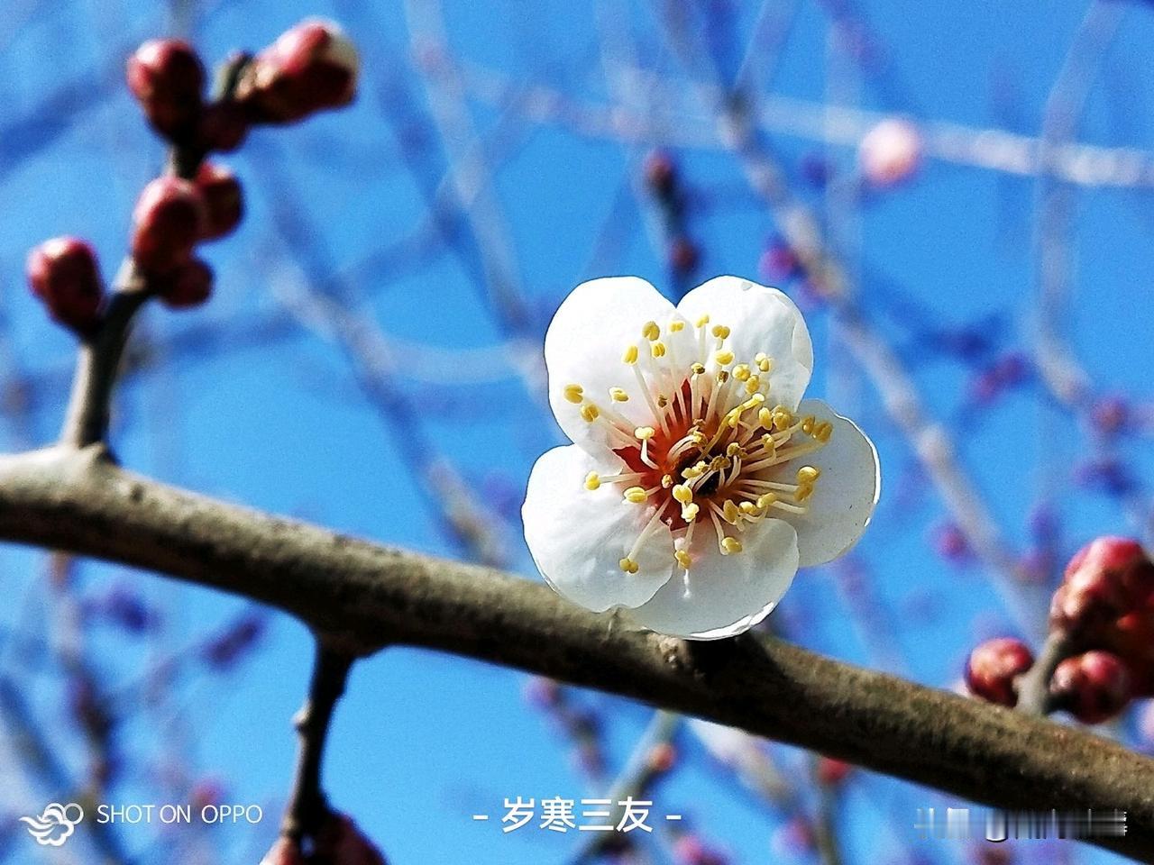 人•大•太的演义

       “人”字是个象形字，汉字大多是由象形字演化而来