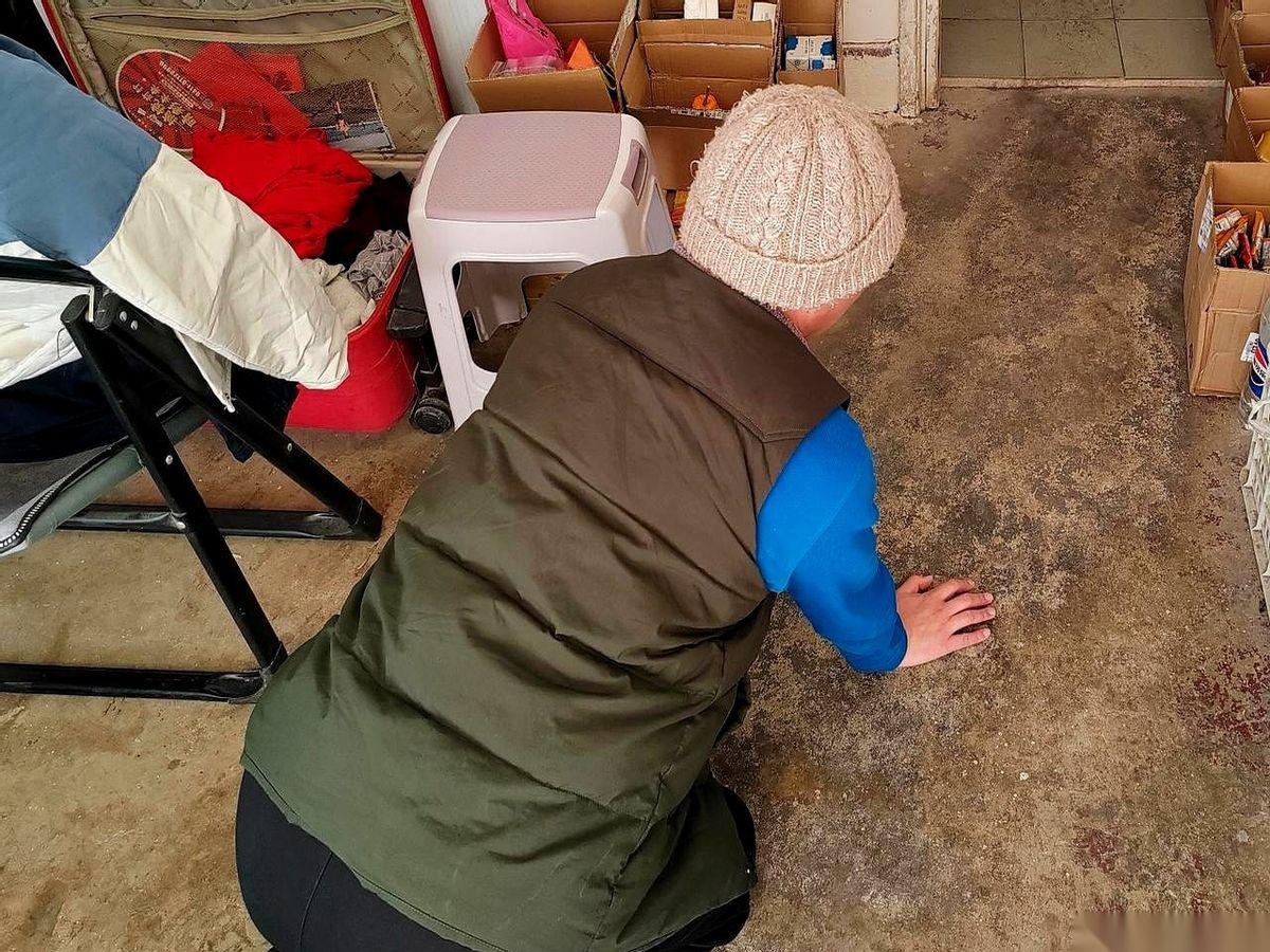 水龙头哗哗地响，我却跪在冰凉的瓷砖上，一点点把脸凑近洗手池。
就这么跪着，刷了牙