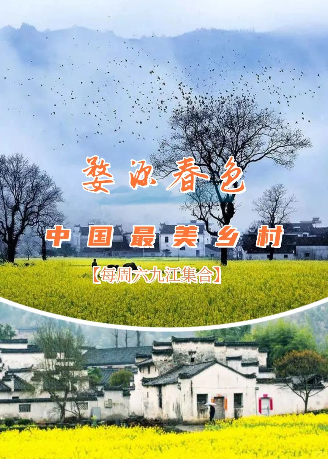 婺源踏春，赏醉美油菜花！