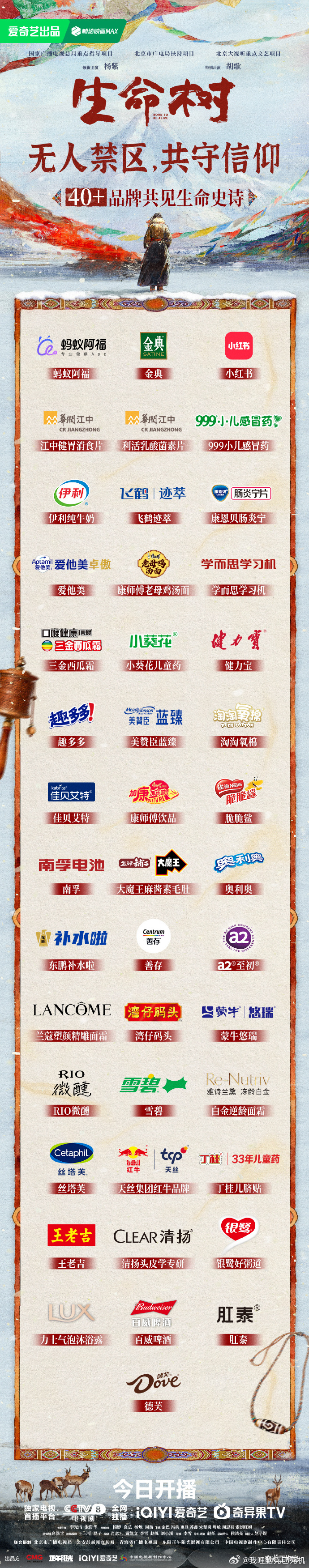 生命树开局40广杨紫的招商能力 生命树开局40广，杨紫的招商能力真的很强啊，谁懂