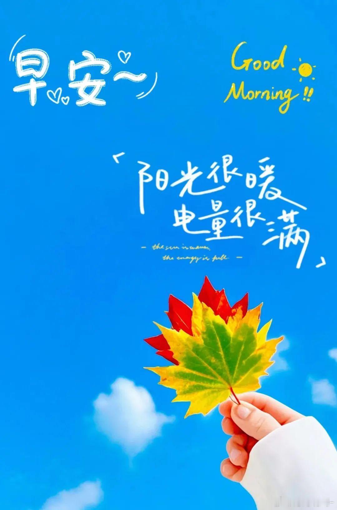 早安愿你眼里有光，心中有爱，活成自己喜欢的模样✨。早安，我的朋友们，祝大家今天元