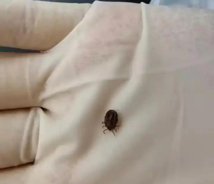 “悲剧还是发生了！”3月15日，湖南，一小孩和家人去外面玩耍之后，晚上家人发现小