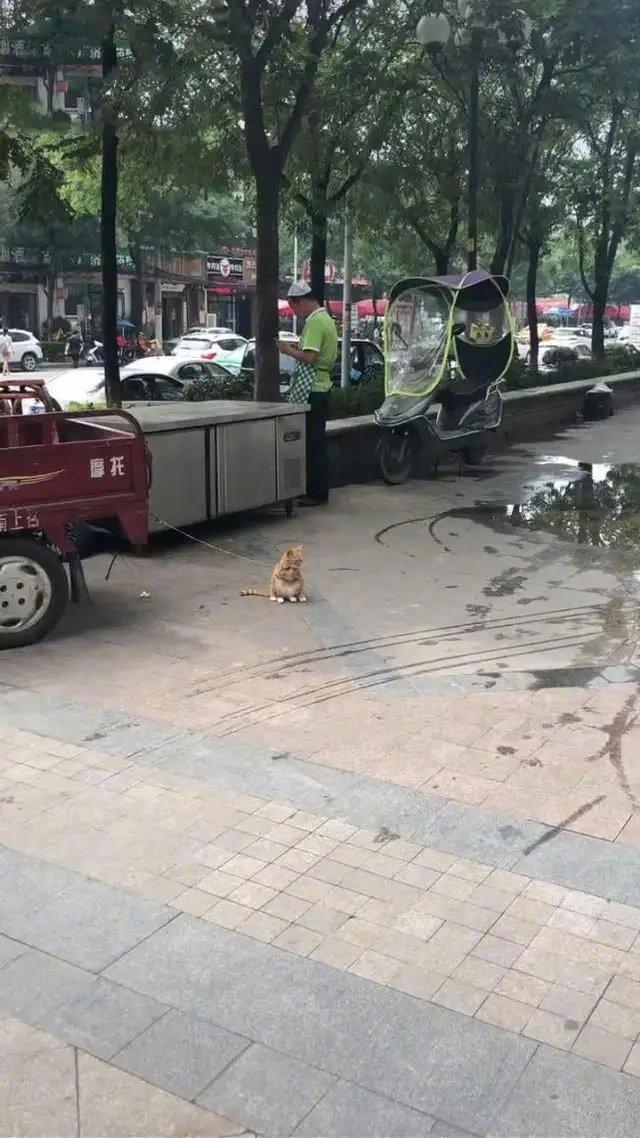是噬元兽没错了！
可能绳子不够~需要立个牌子：本兽危险，请勿靠近！