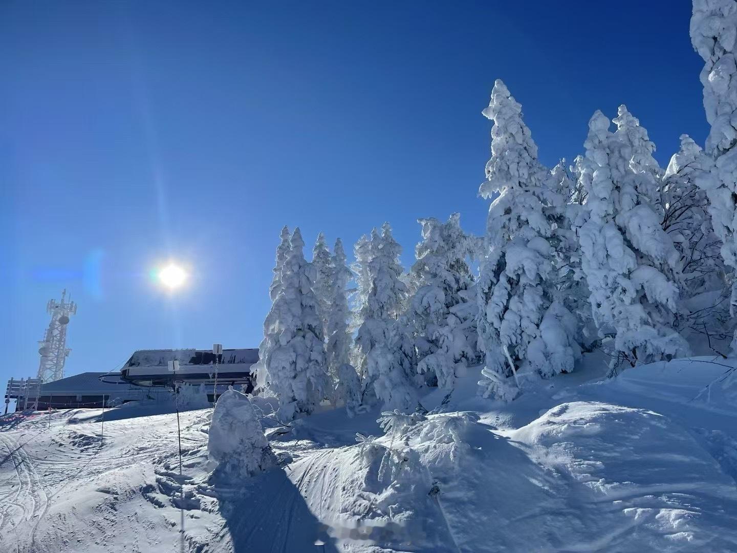 还是🇨🇦熟悉的🏂套餐🍔🍟🥤减肥是啥来着？