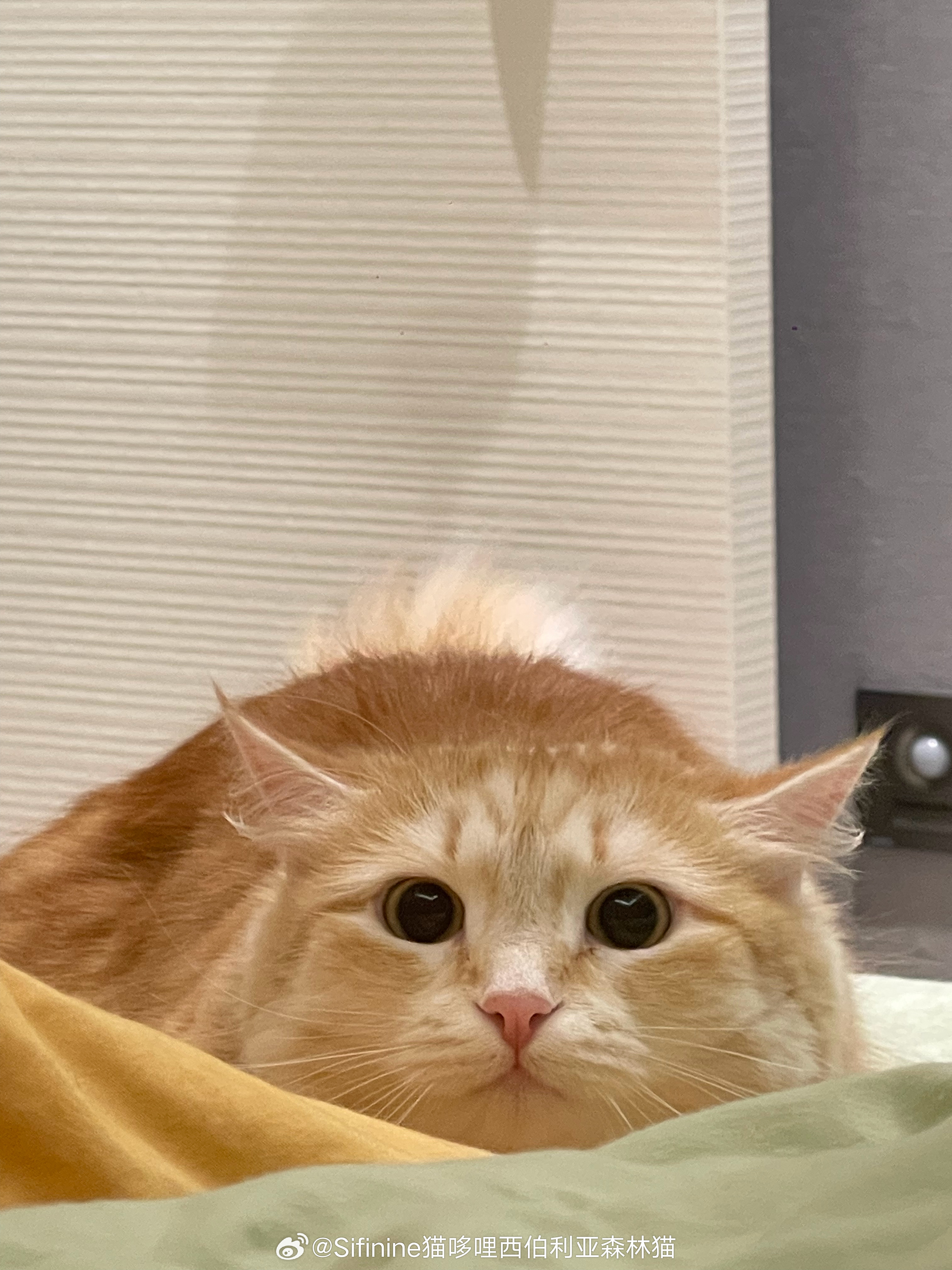 是谁大晚上不睡觉瞪俩大眼珠子呀