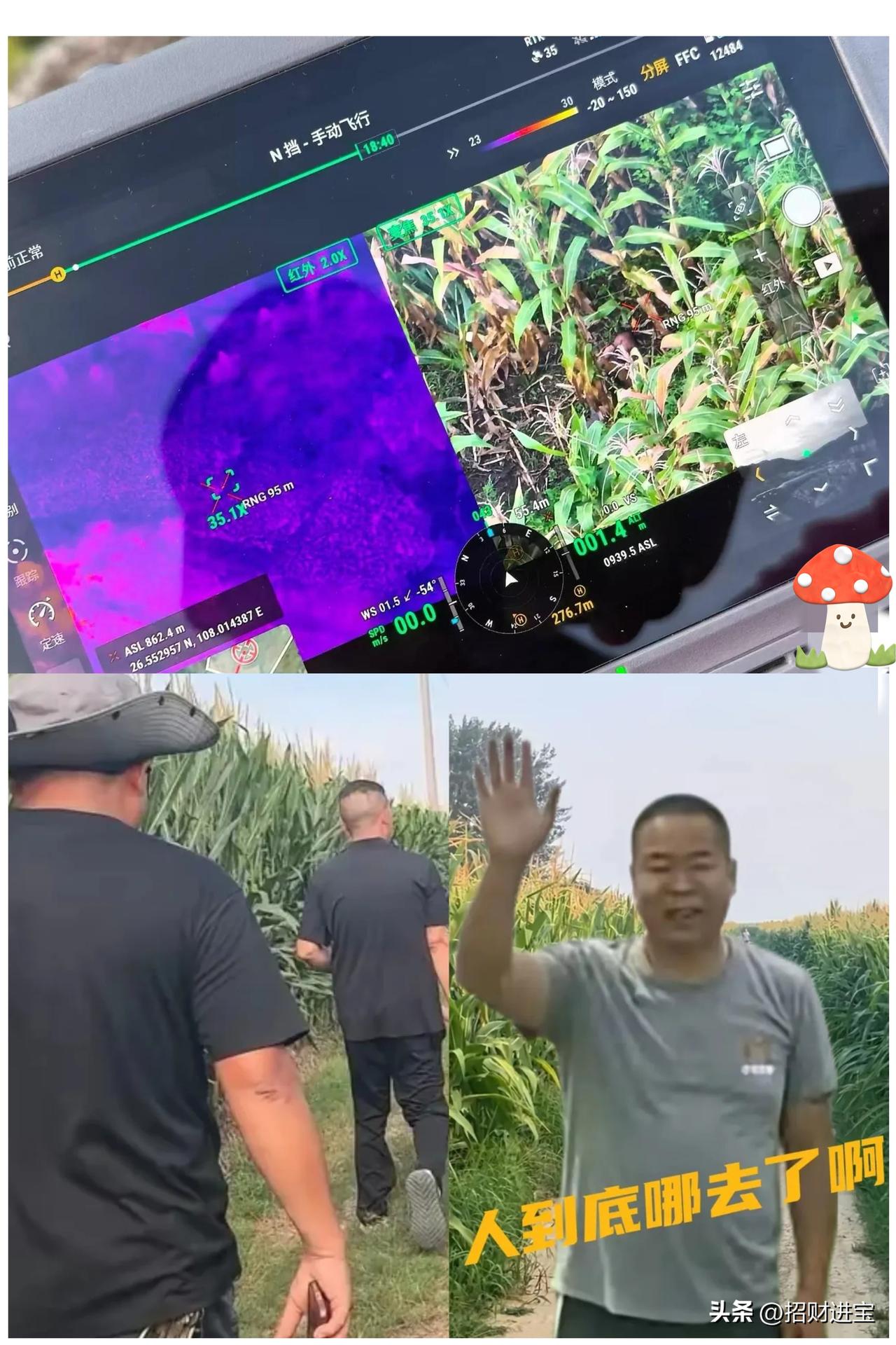 看到这则搜捕夏付钢的消息，真是让人哭笑不得。警犬嗅出了真相，人却执拗地扎进玉米地