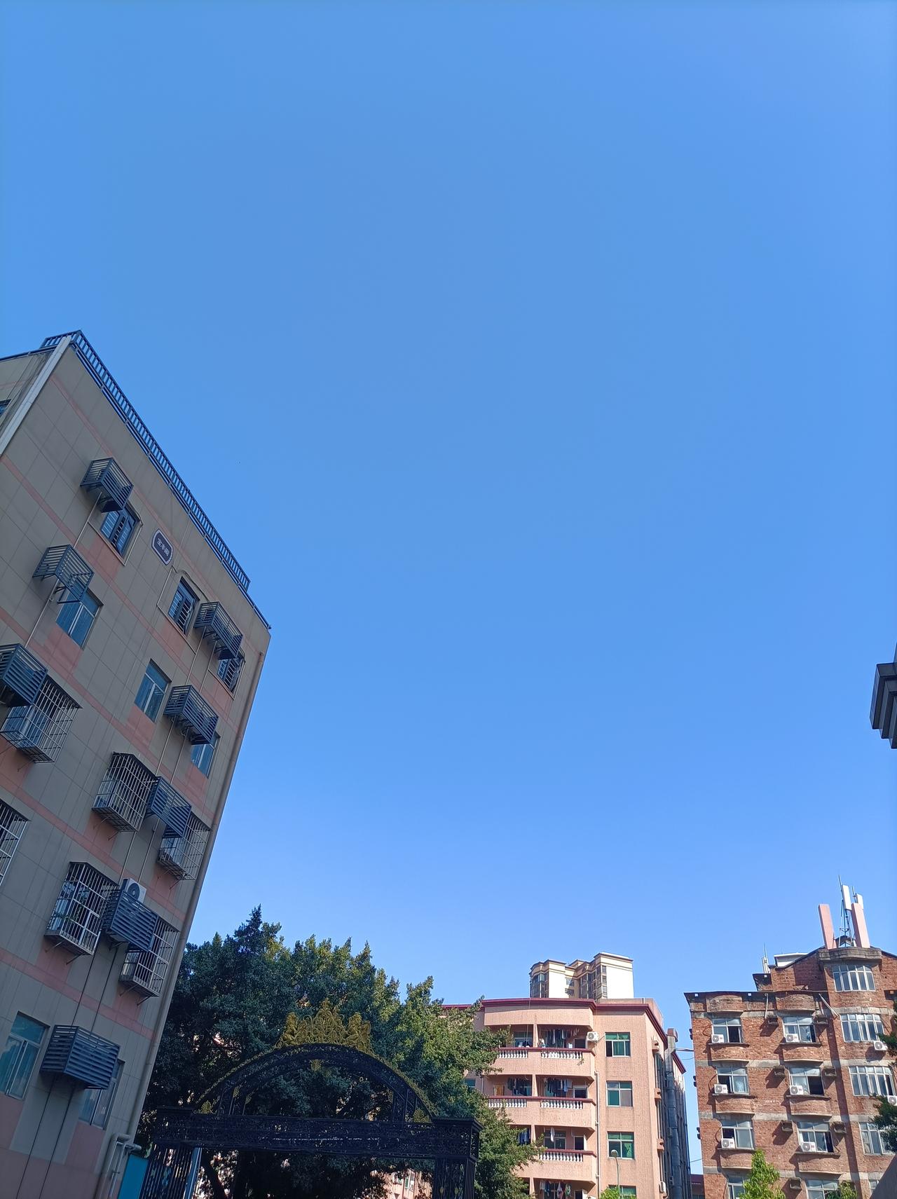 每天晒一张天空照晒晒我们深圳的天空，这蓝天是不是好美啊！