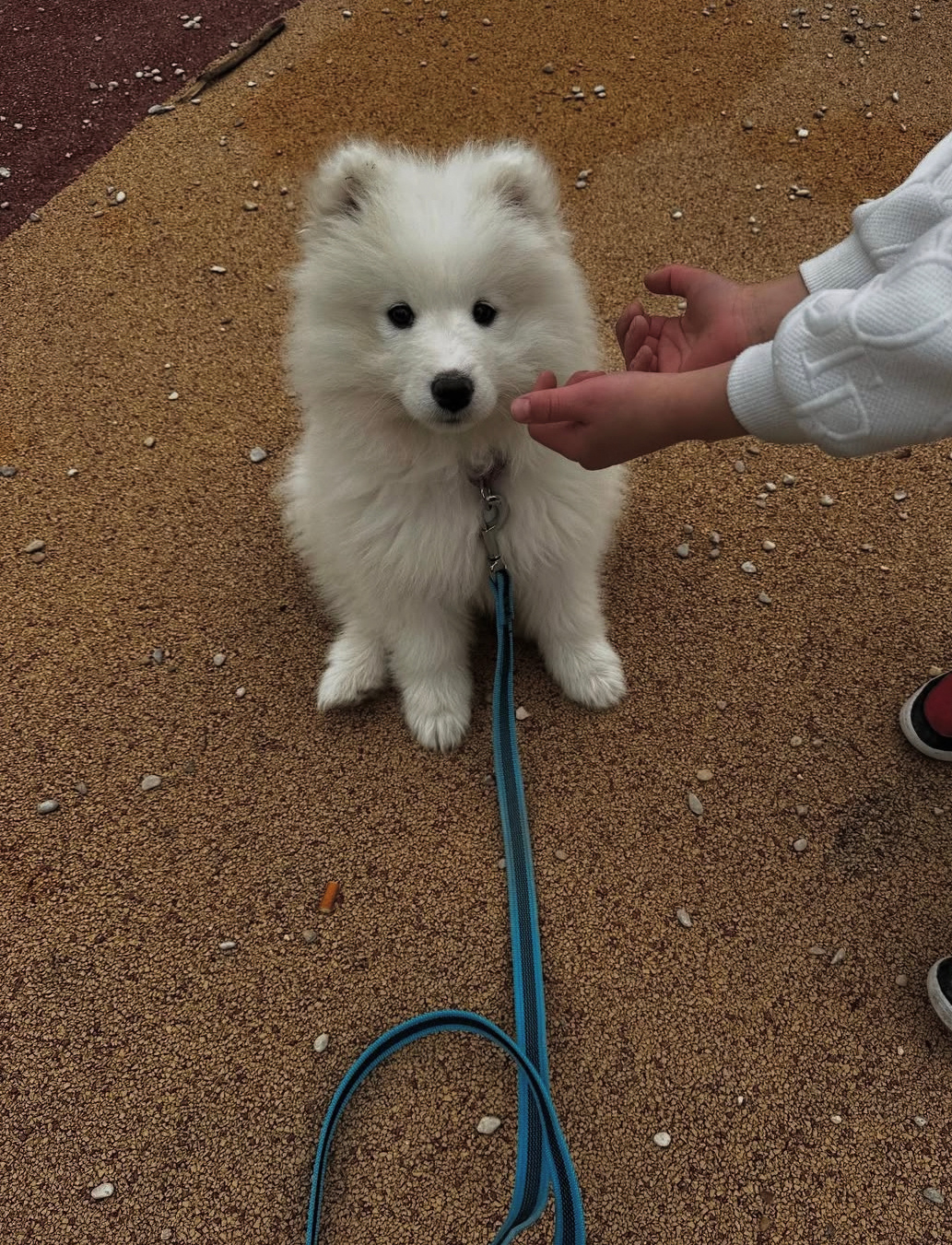 耶耶，跟阿姨去吃好吃的，你妈妈今天有事来不了了耶 