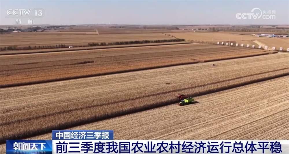 东北金黄稻浪翻滚背后藏着的秘密！中国三农成绩单曝光，每个数字都让你热泪盈眶

（