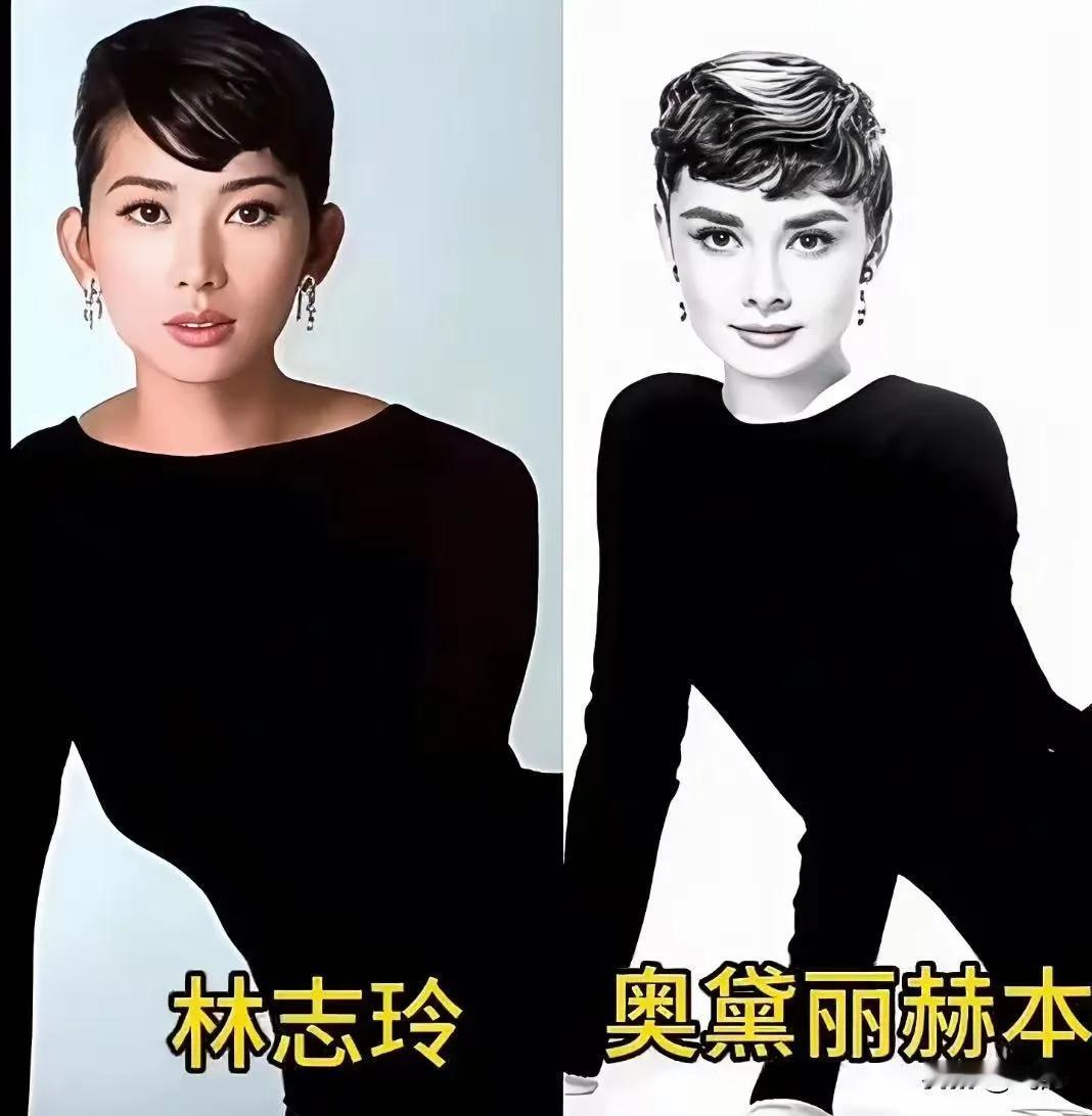 这几位和赫本哪个更漂亮呢？
林志玲在戛纳红毯上的亮相，展现出了超凡的气质，与奥黛