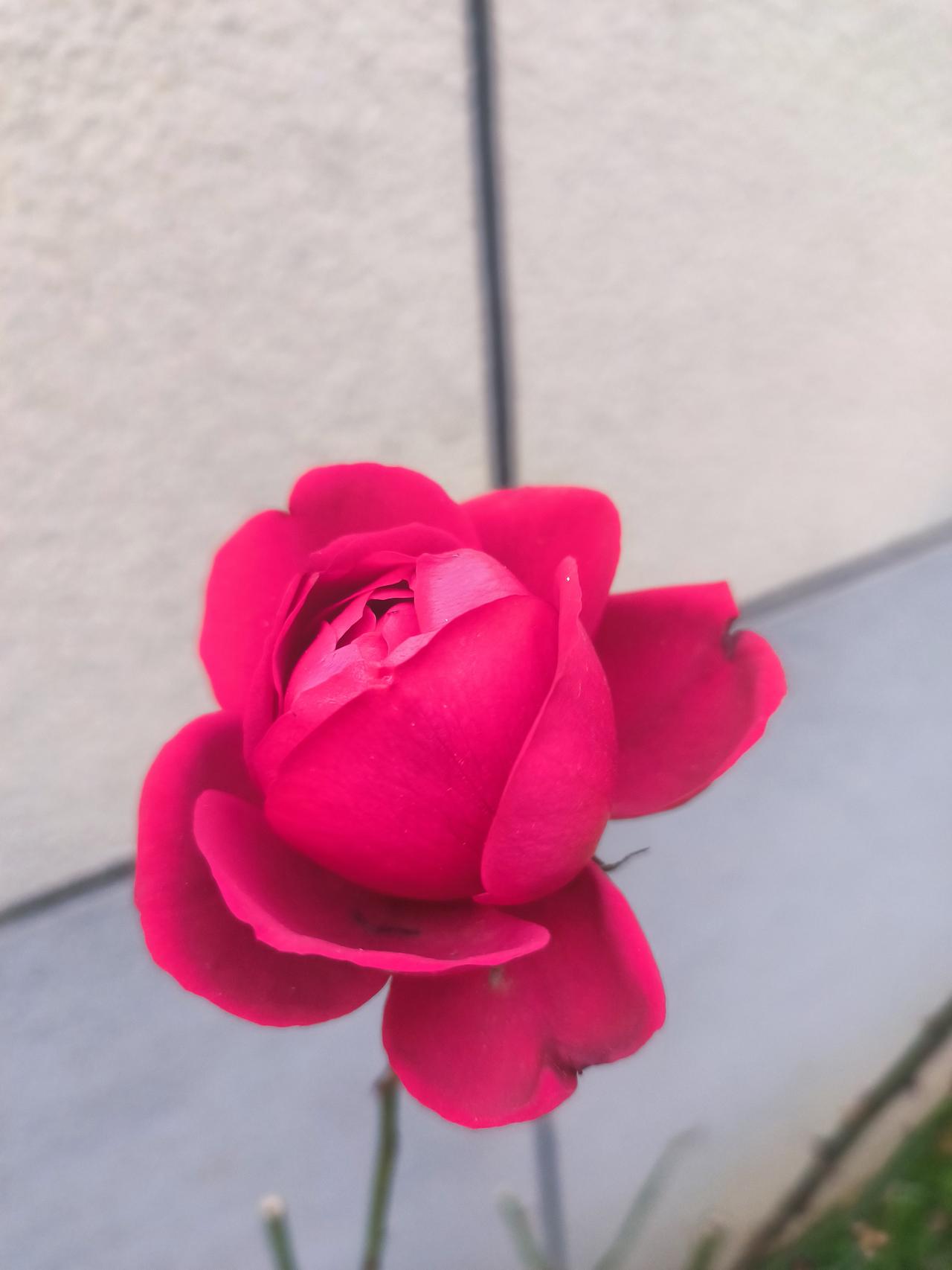 那天一位领导说起了投诉，对一个纠缠不已的投诉处理的意见是，向他低头又如何？如果觉