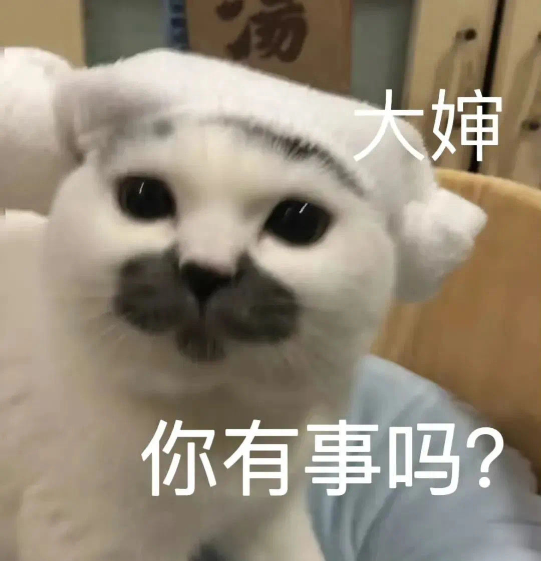 猫猫狗狗loopy表情[太开心]大婶，你有事吗？#表情包# ​​​