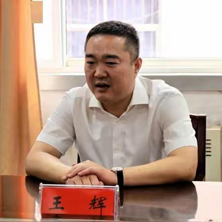 75年出生的内黄县委书记王辉主动投案，接受审查调查。

值得一提的是，王辉主政期