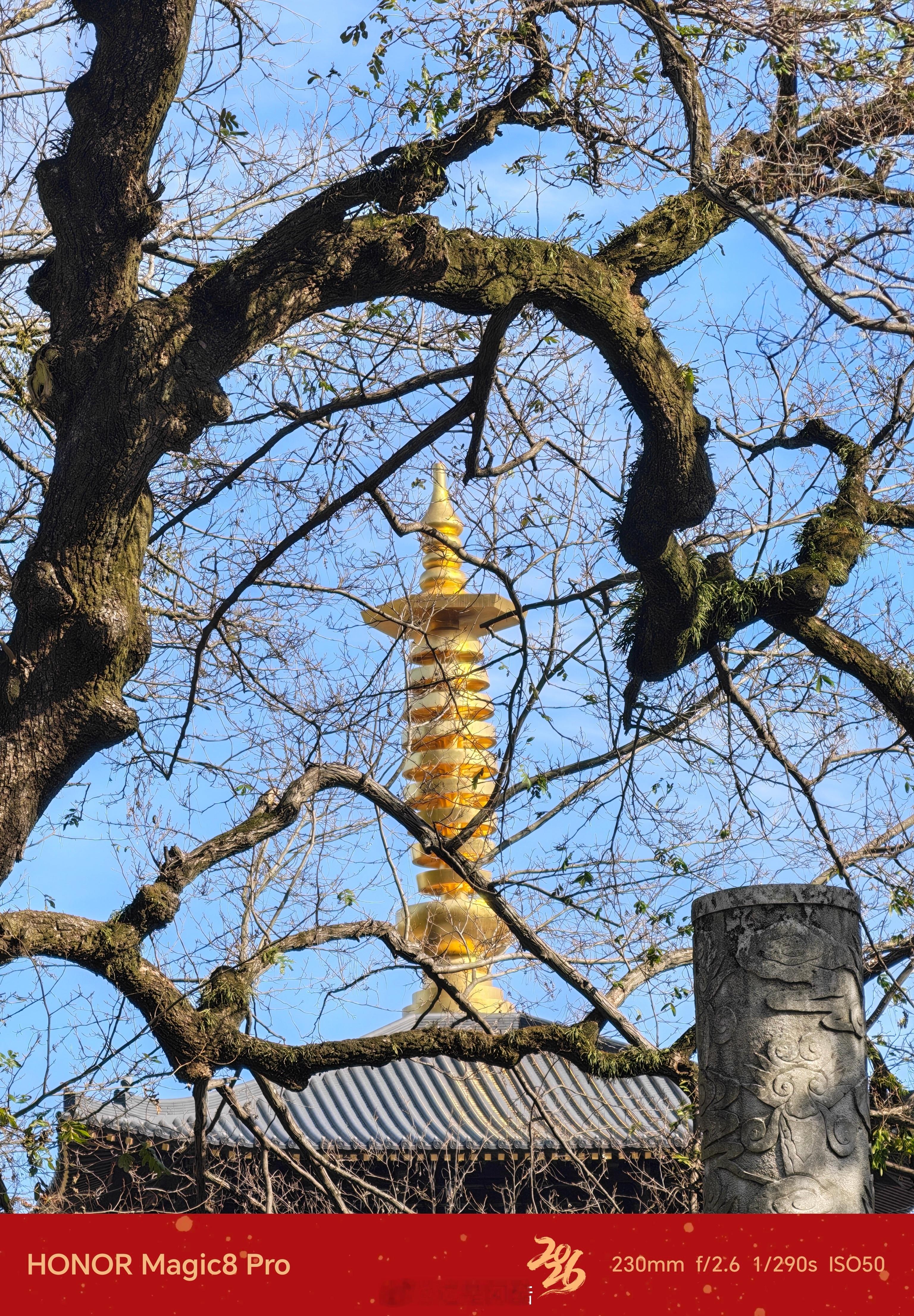 今天逛金峨禅寺 宁波·金峨禅寺