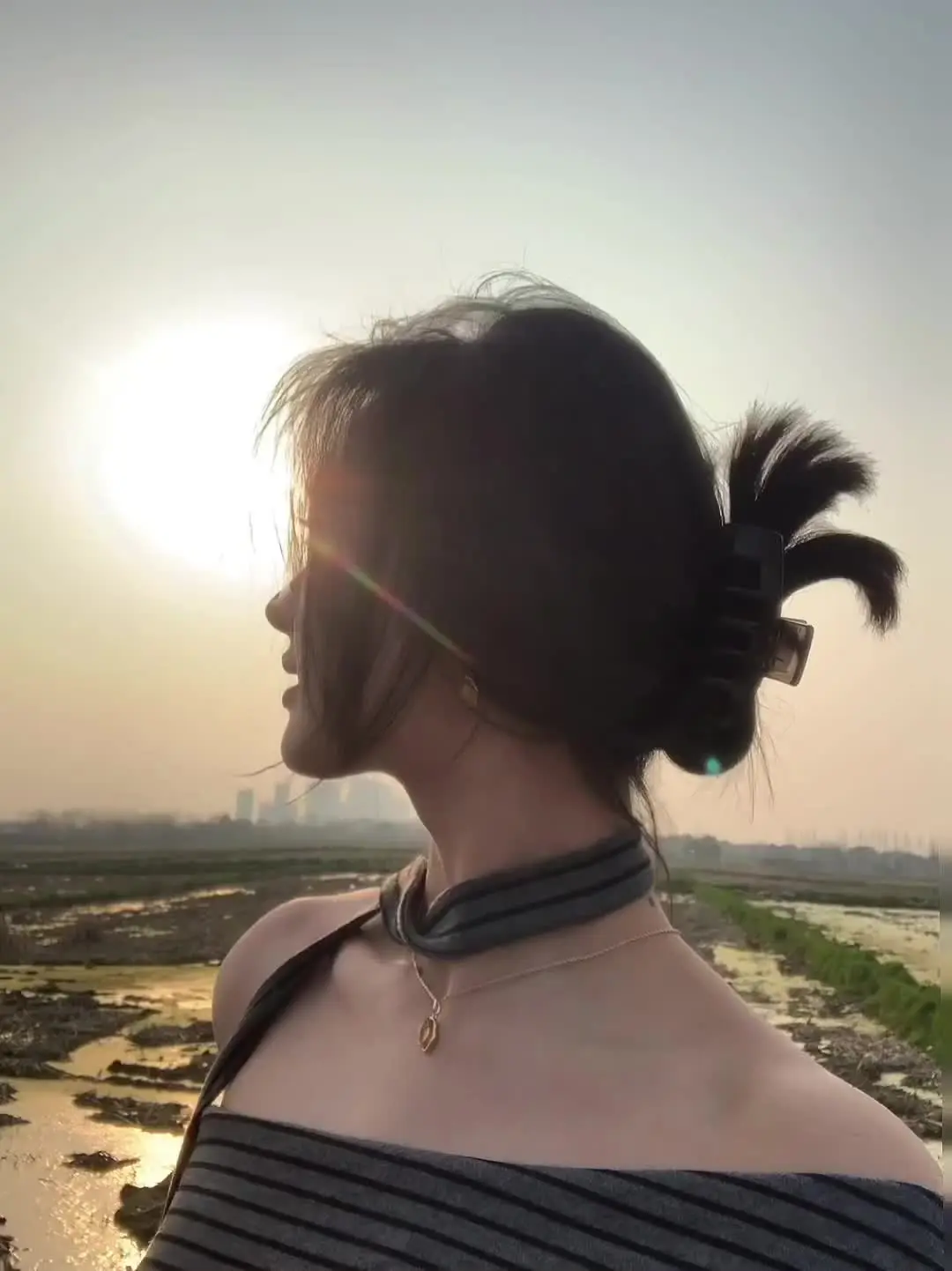 每天干点啥