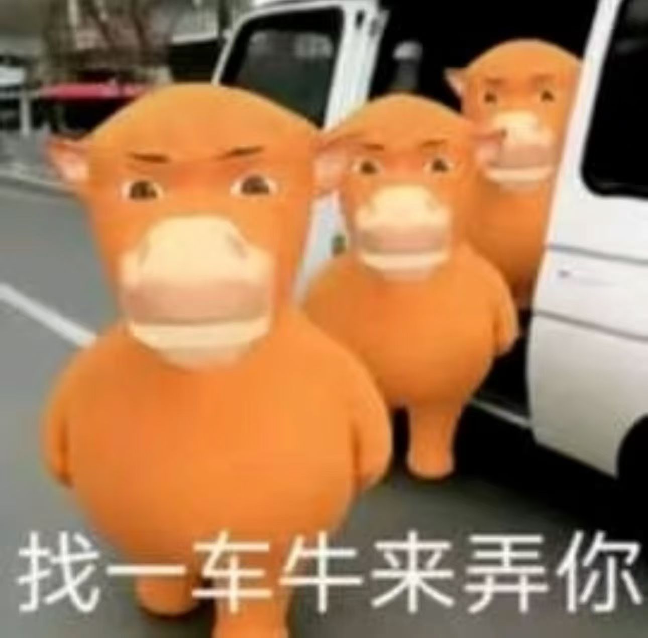 内鱼啥时候整个各家工作室出图审美倒数评选小罗工作室不第一我都怀疑黑幕 ​​​