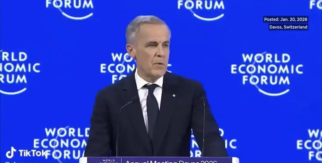 这场2026年的达沃斯演讲，其实在问：中等国家还能信谁？
 
在2026年的世界