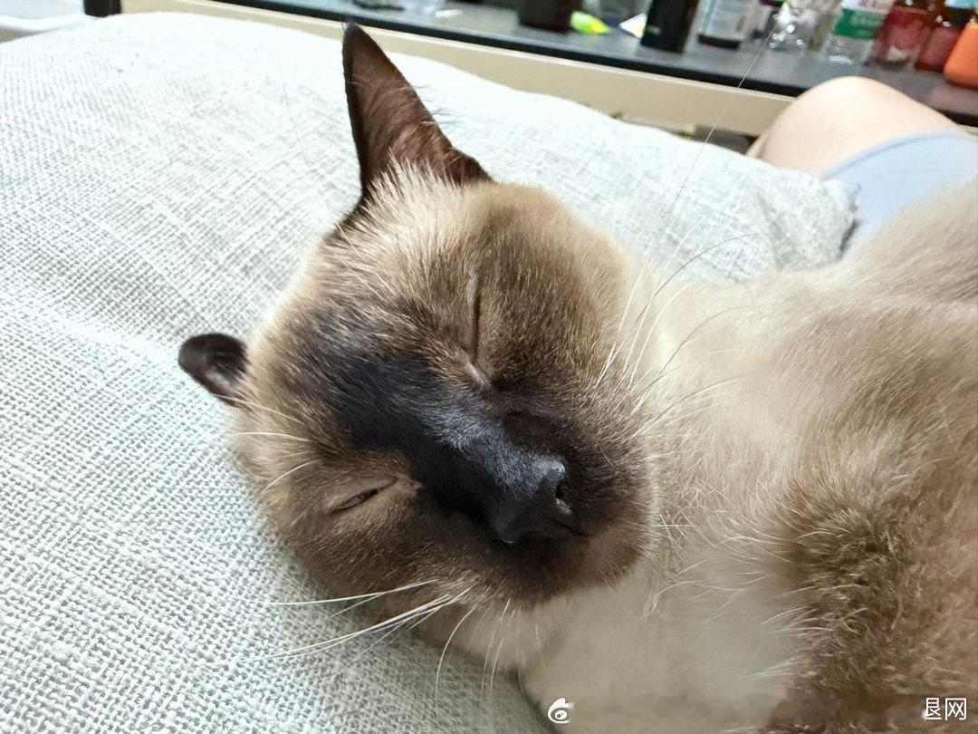 晚安逼罗