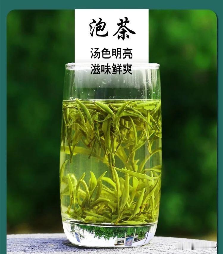 〖喝绿茶的好处〗

　1、抗衰老

　　有助于延缓衰老，茶多酚具有很强的抗氧化性