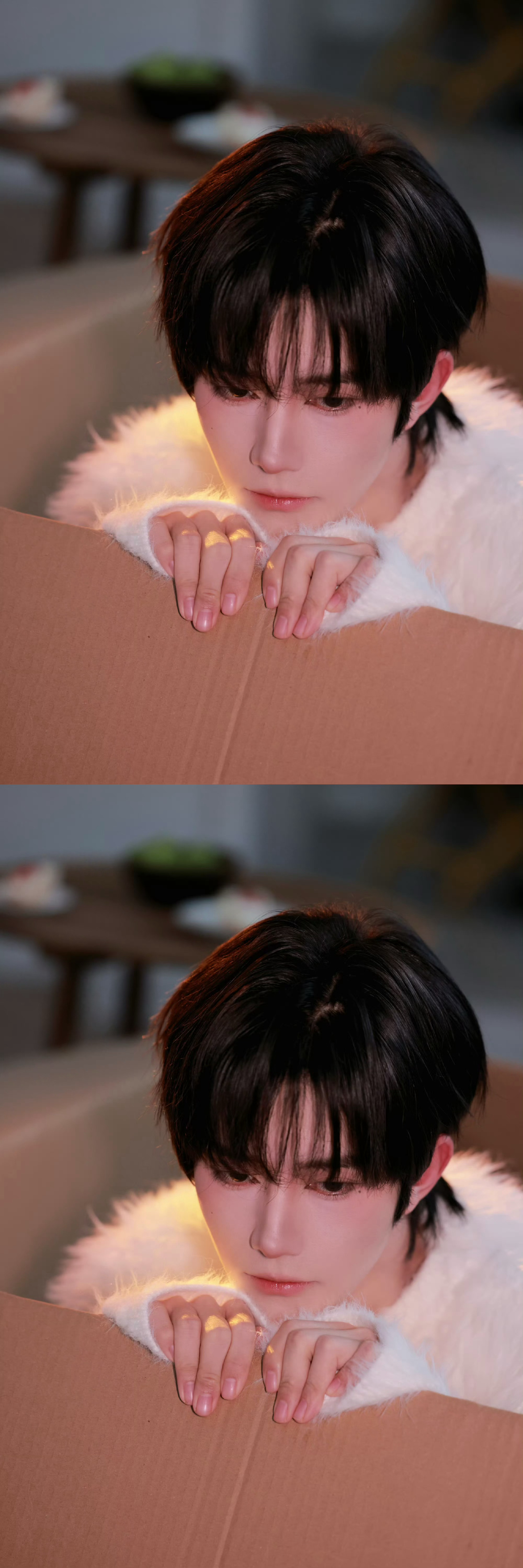 黄星邱鼎杰合照 黄星今日份新鲜营业，藏在纸箱子里面的可爱萌宝星星啊