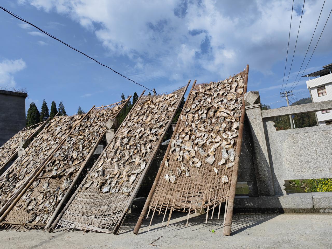 长庆油田的企业文化建设选择在四个单位进行试点，每个试点单元在进行一些小的改进，但