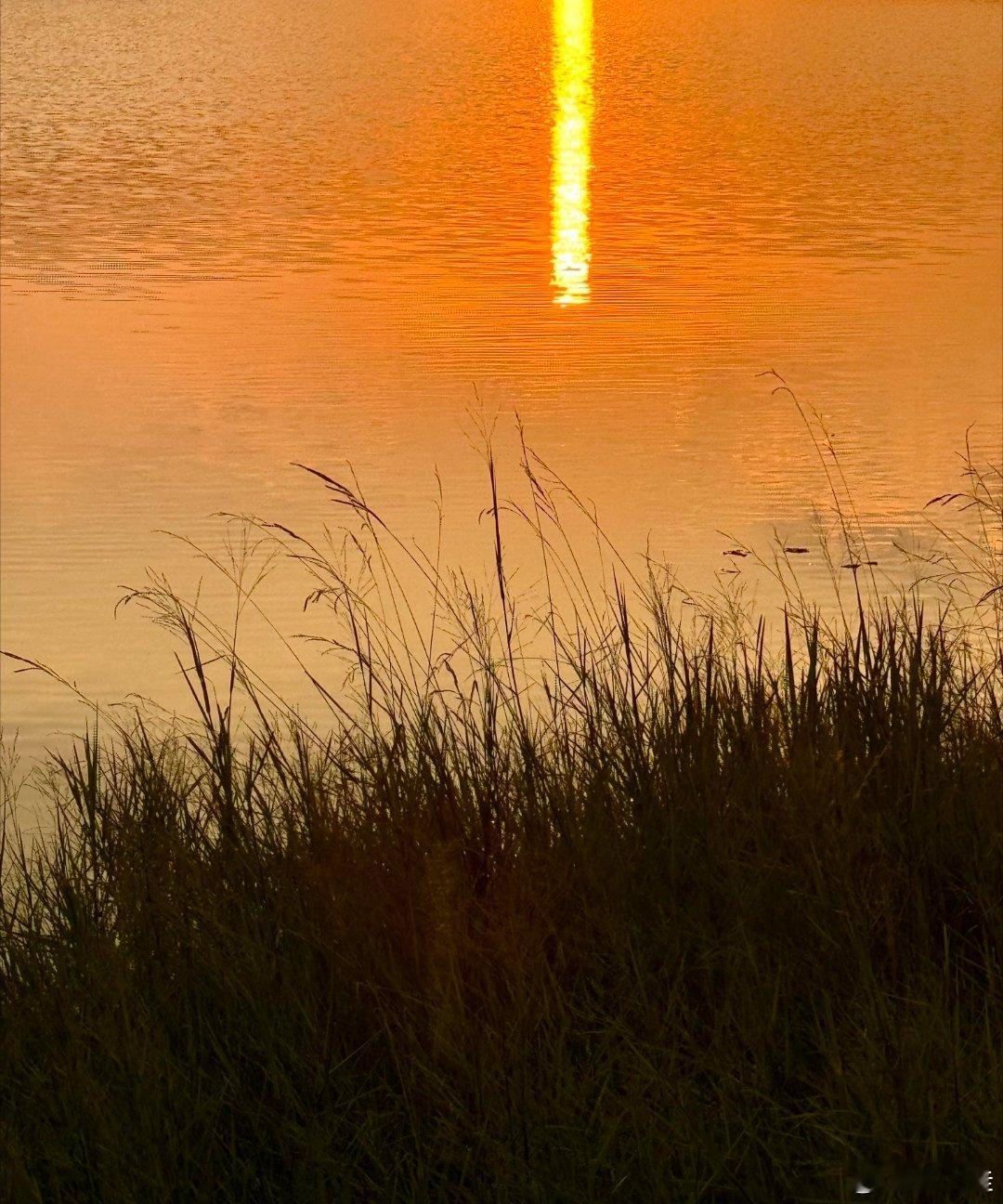 女人最好的出路，从来都不是找个好丈夫，而是将自己修炼得睿智与强大，去匹配这世间的