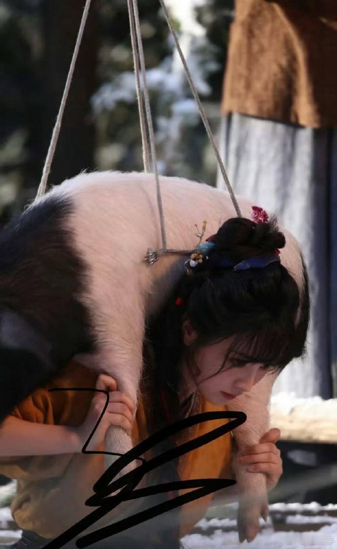 田曦薇逐玉路透，新奇画面来袭。首次见女主扛猪，独特情节引期待，后续故事令人好奇。