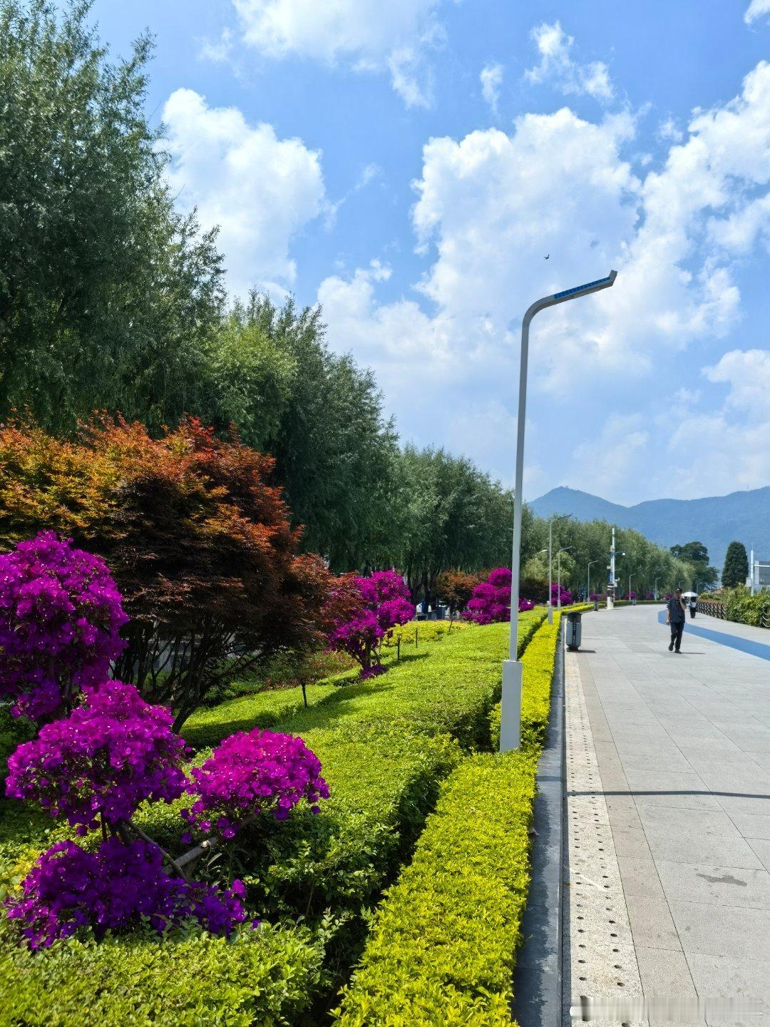 每日一善阳光信用 心有热爱，无畏山海，步履不停，美好如约而来 
