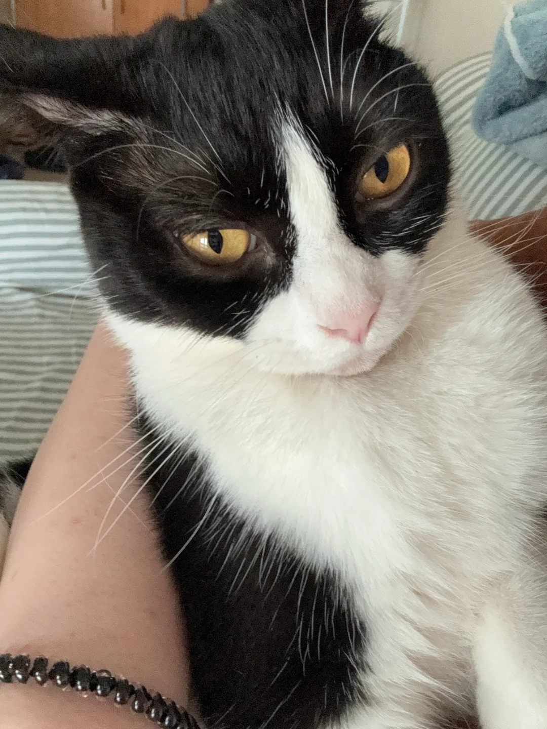 服了 每次找他们拍照都这个表情！