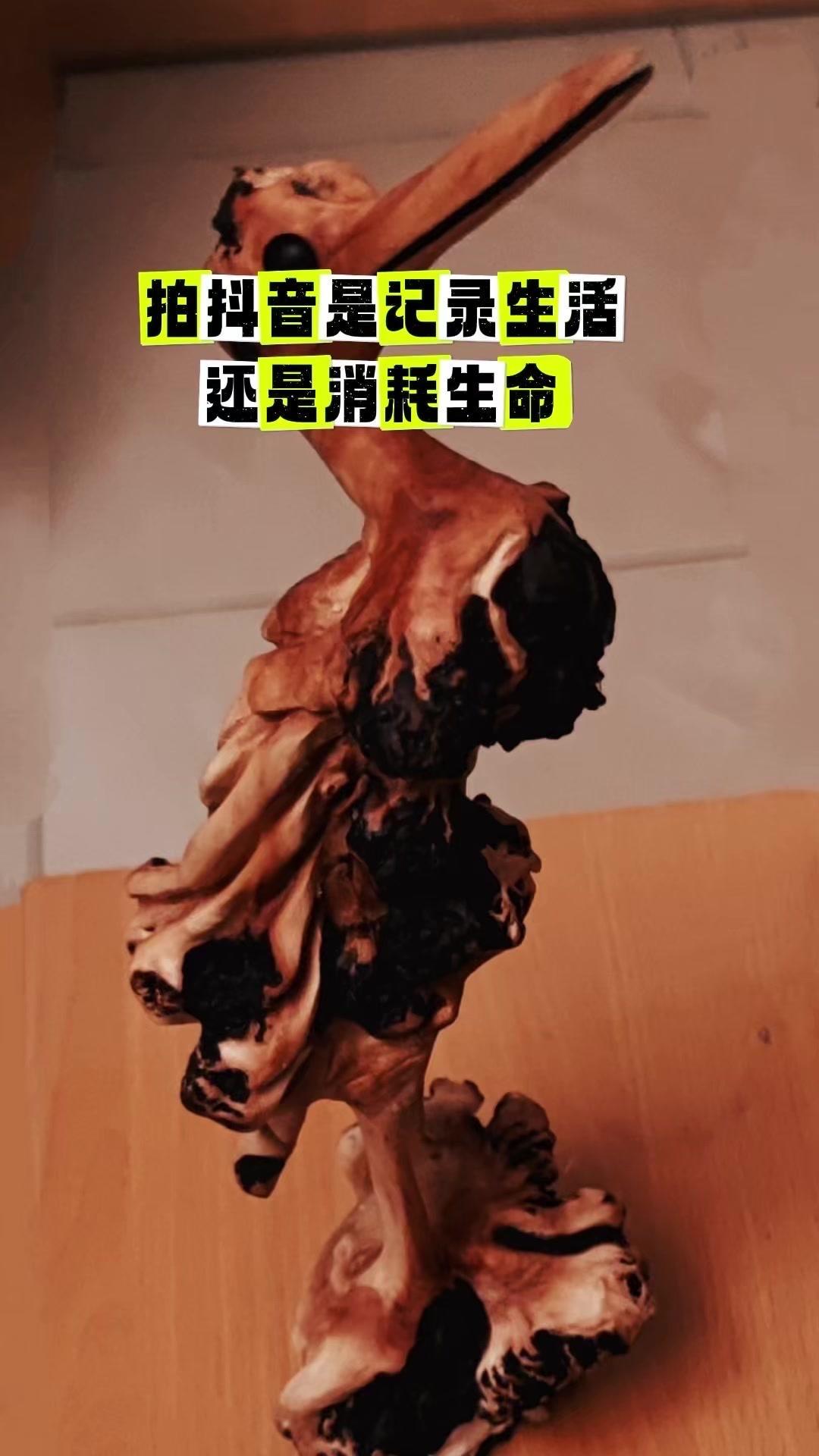 为什么拍抖音总被说“无意义”？我拍抖音真的只是为了给自己找个情感出口～遇到喜欢的