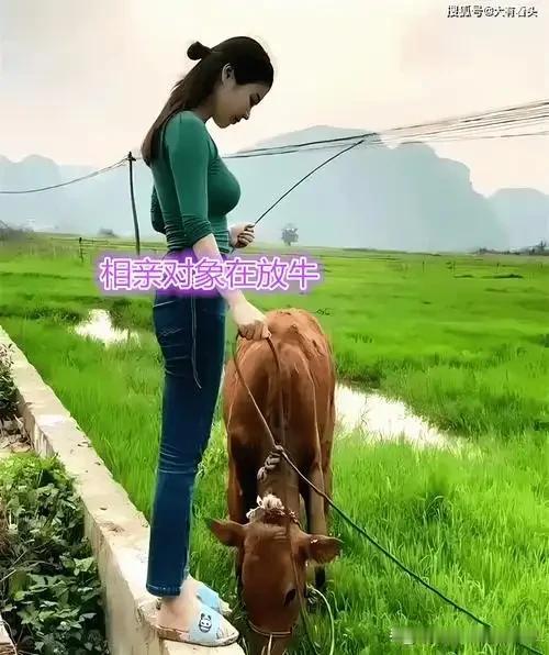 82年放牛的时候，我把村花按在草地上，她扭着身子说“好痒”
 
很多年后，我才明