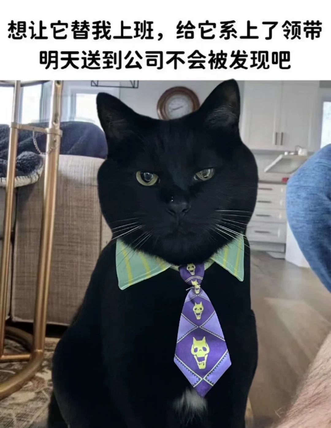 我是小猫🐈‍⬛我同意帮我麻麻明天去上班