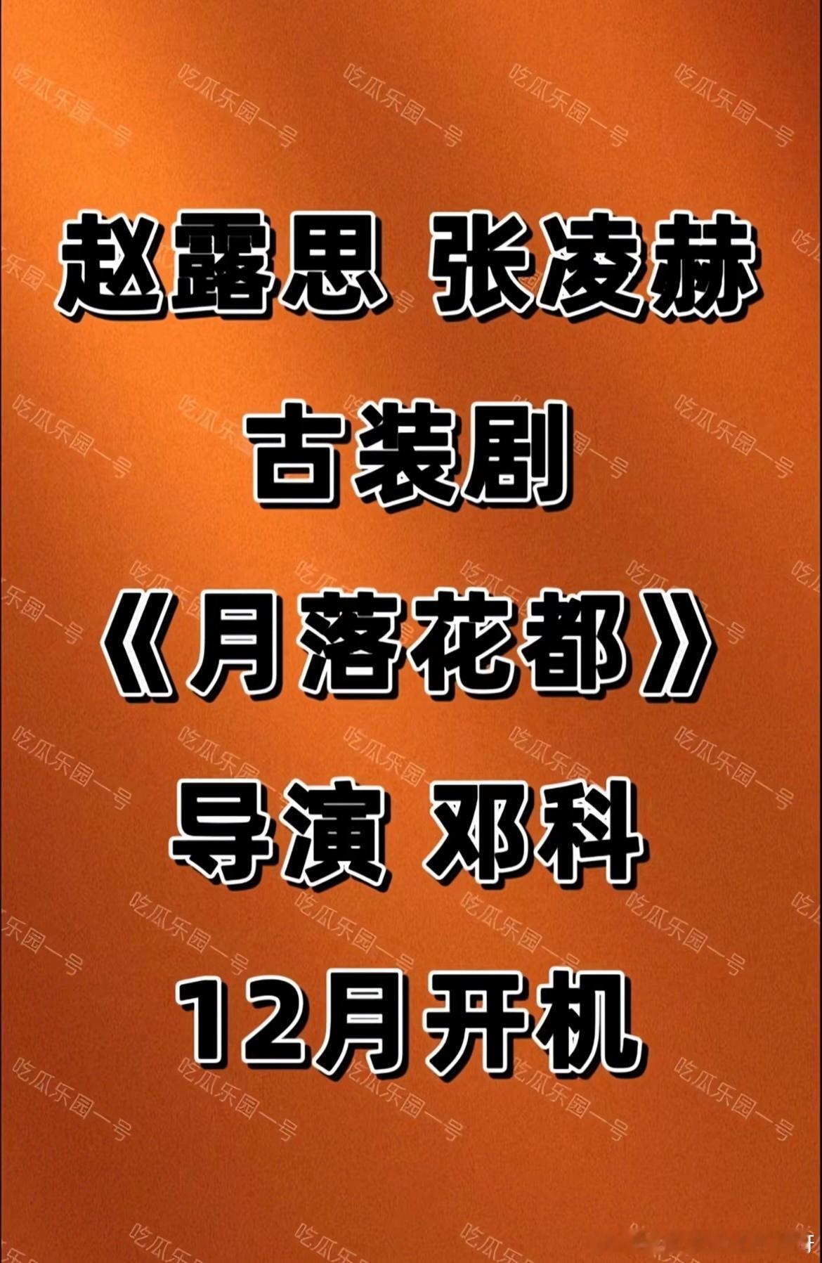 网传 张凌赫、赵露思将合作古装剧《月落花都》导演:邓科12月开机 ​​​