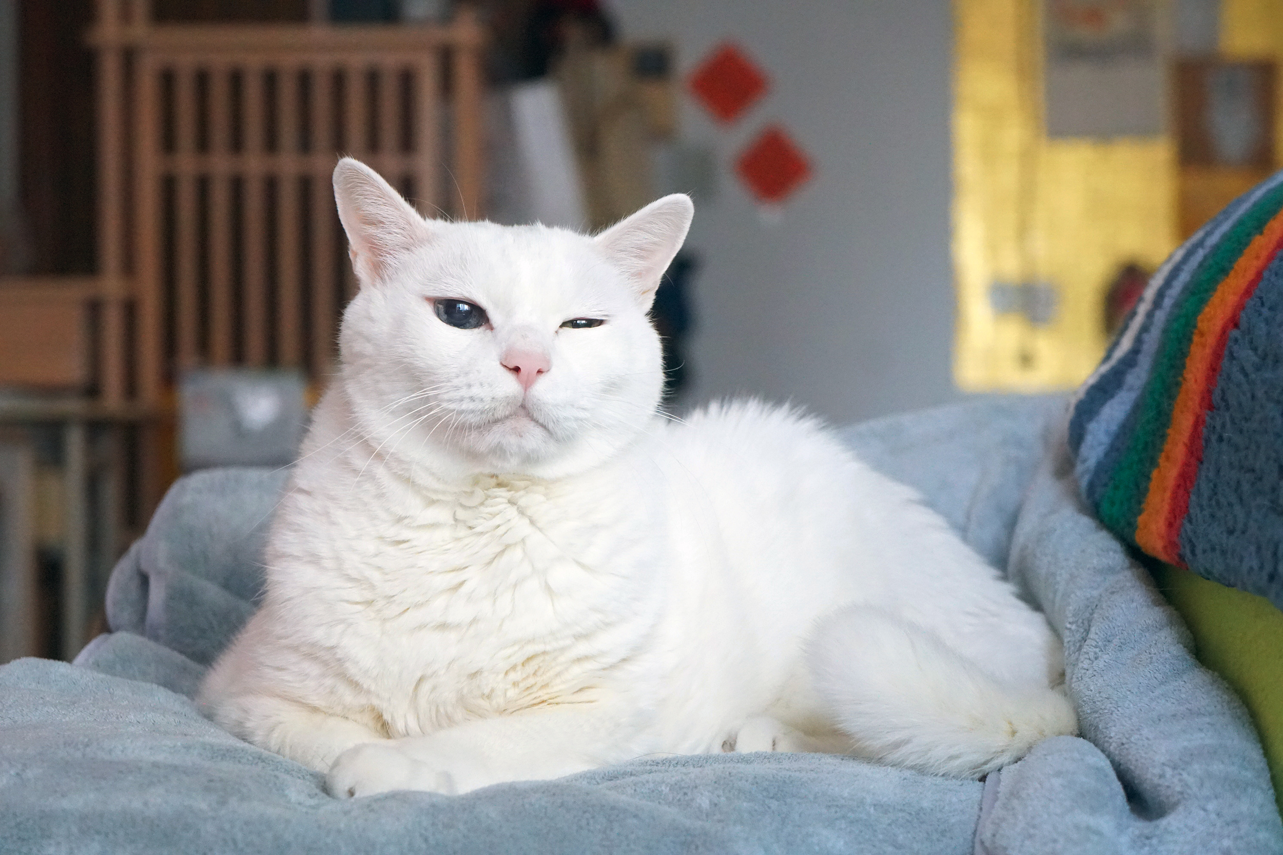 最近有吃好、拉好⋯⋯還戒了月亮姐姐。 