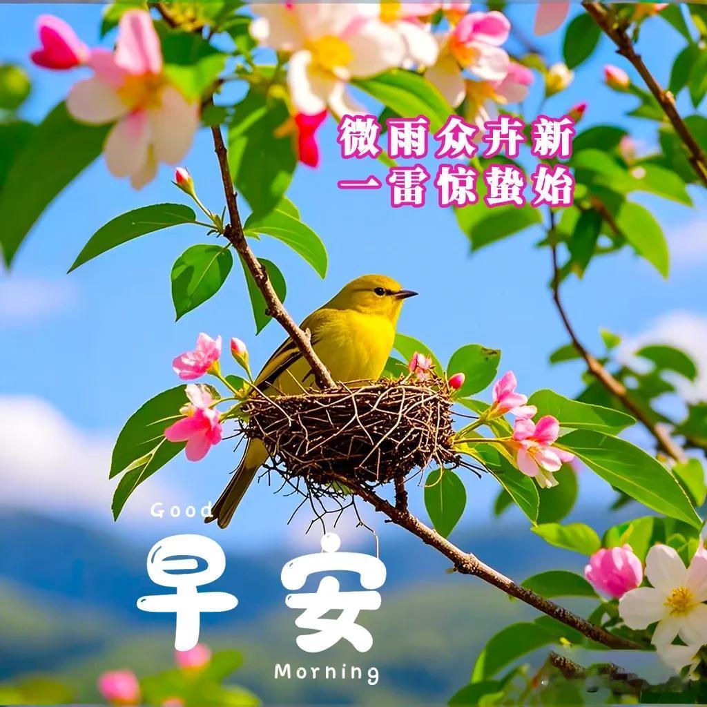 3月5日惊蛰节气优美祝福：惊蛰春雷动，万物生机盎，燕儿归旧垒，蛙声闹池塘。

惊