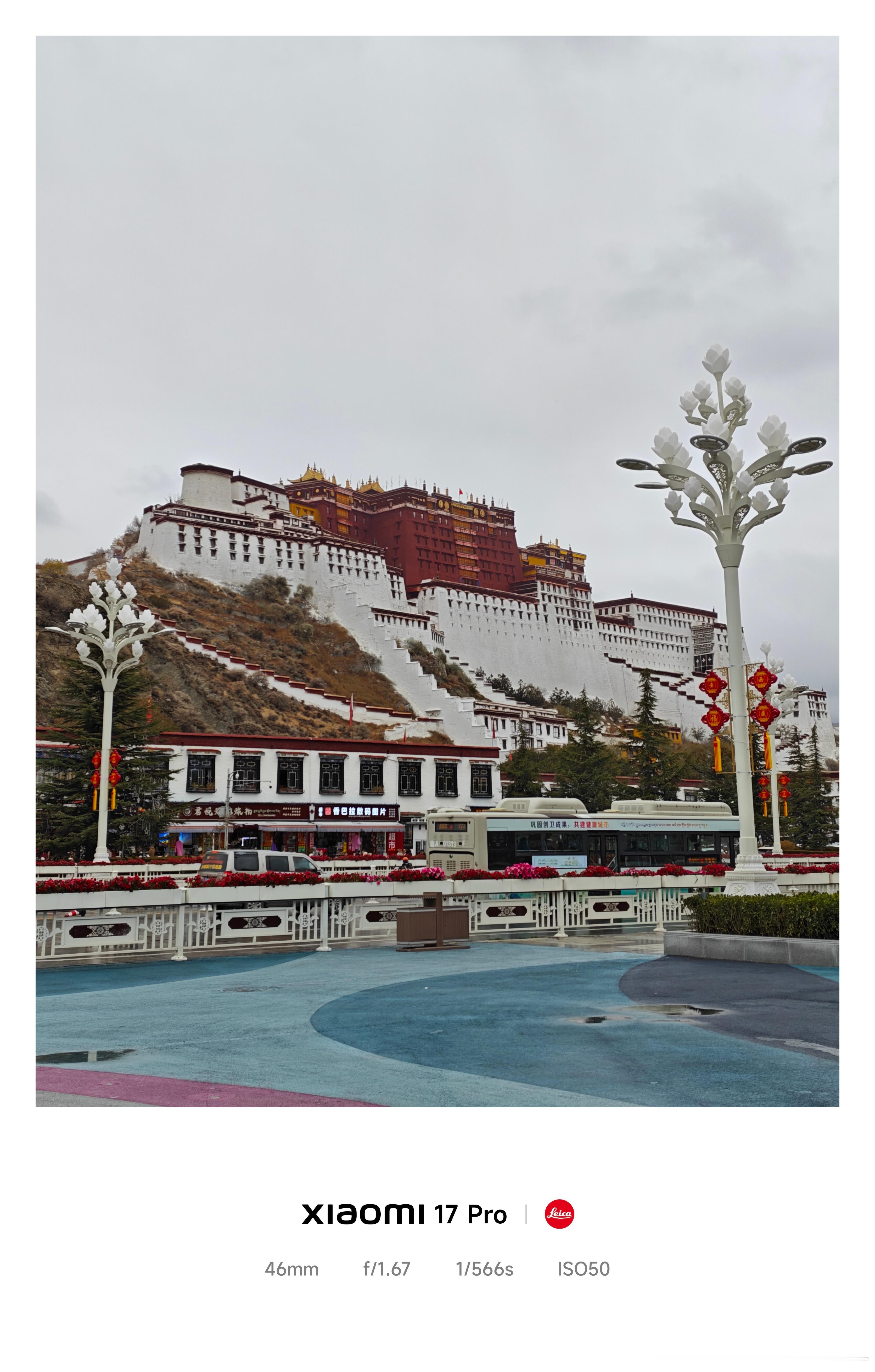 终于看到布达拉宫啦！非常雄伟！给大家看我素颜到此一游大头照！来吃了个酸奶 有点点