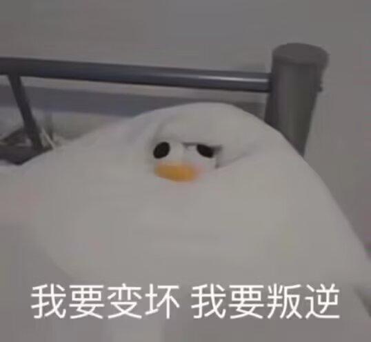 看到现在孩子这么痴迷游戏，我就想到儿子小时候有阵也是特别迷恋游戏。

那时候他还