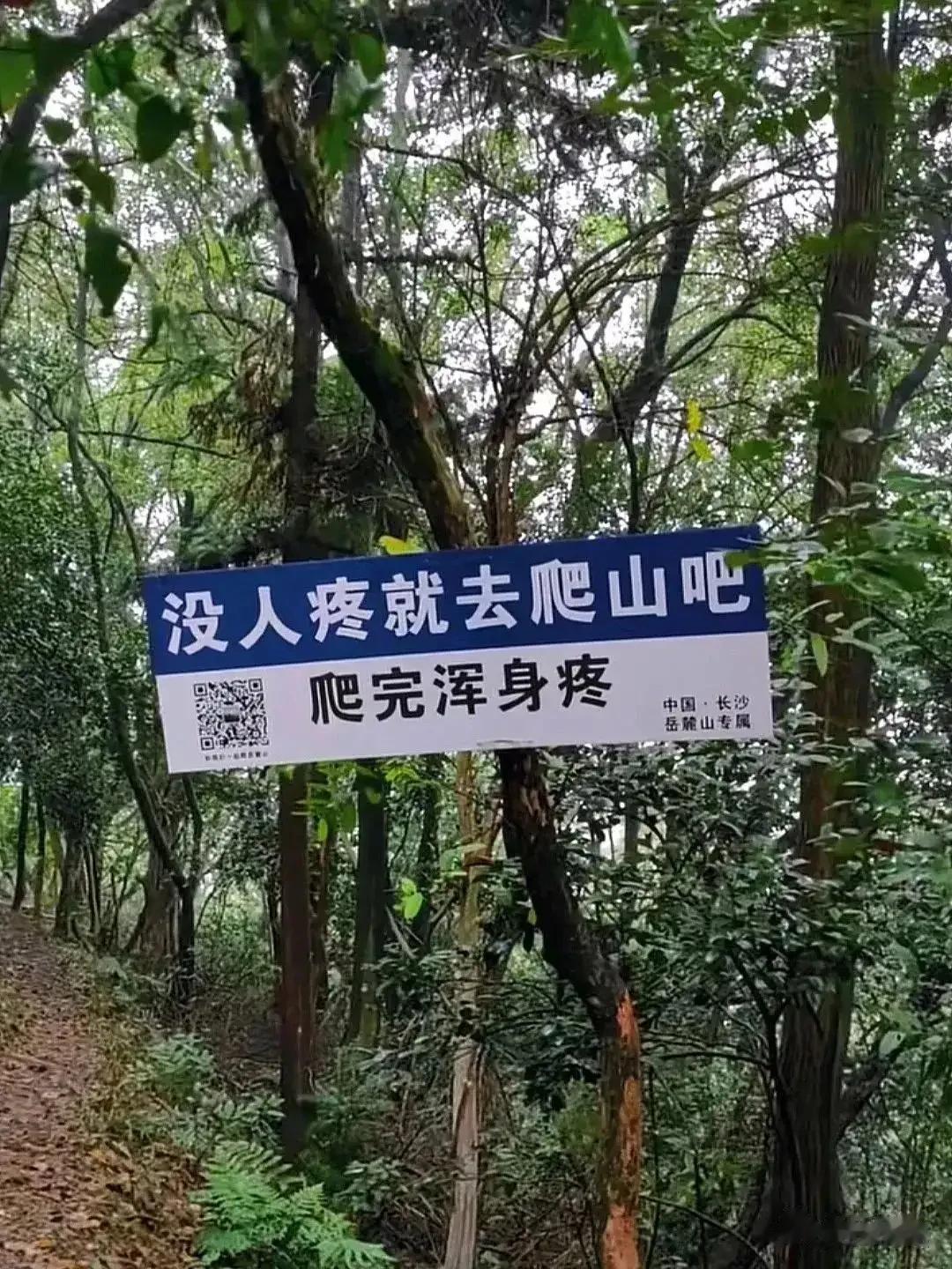 “没人疼就去爬山，爬完浑身疼！”网友称杀人诛心指路牌。湖南长沙的岳麓山因为一个标