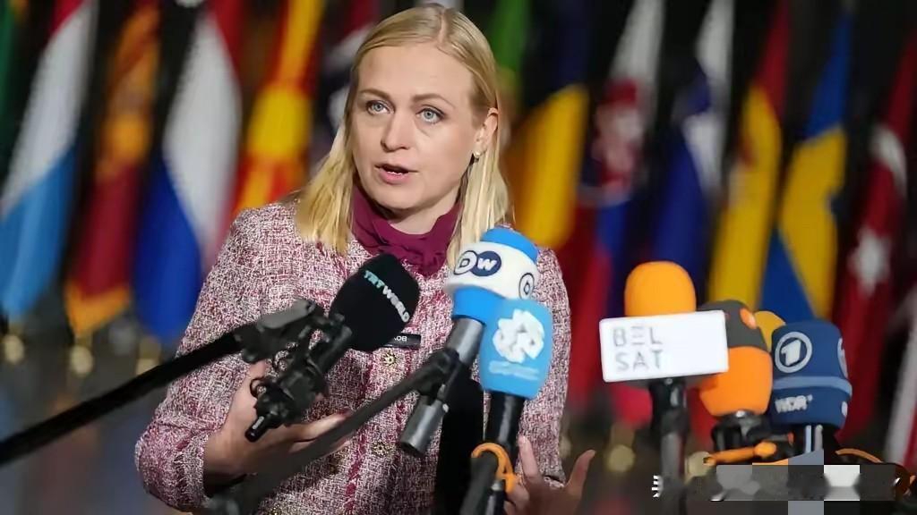 芬兰女外长发表极端对华言论，公然逼中国二选一！中方硬气回应！


4月22日，芬