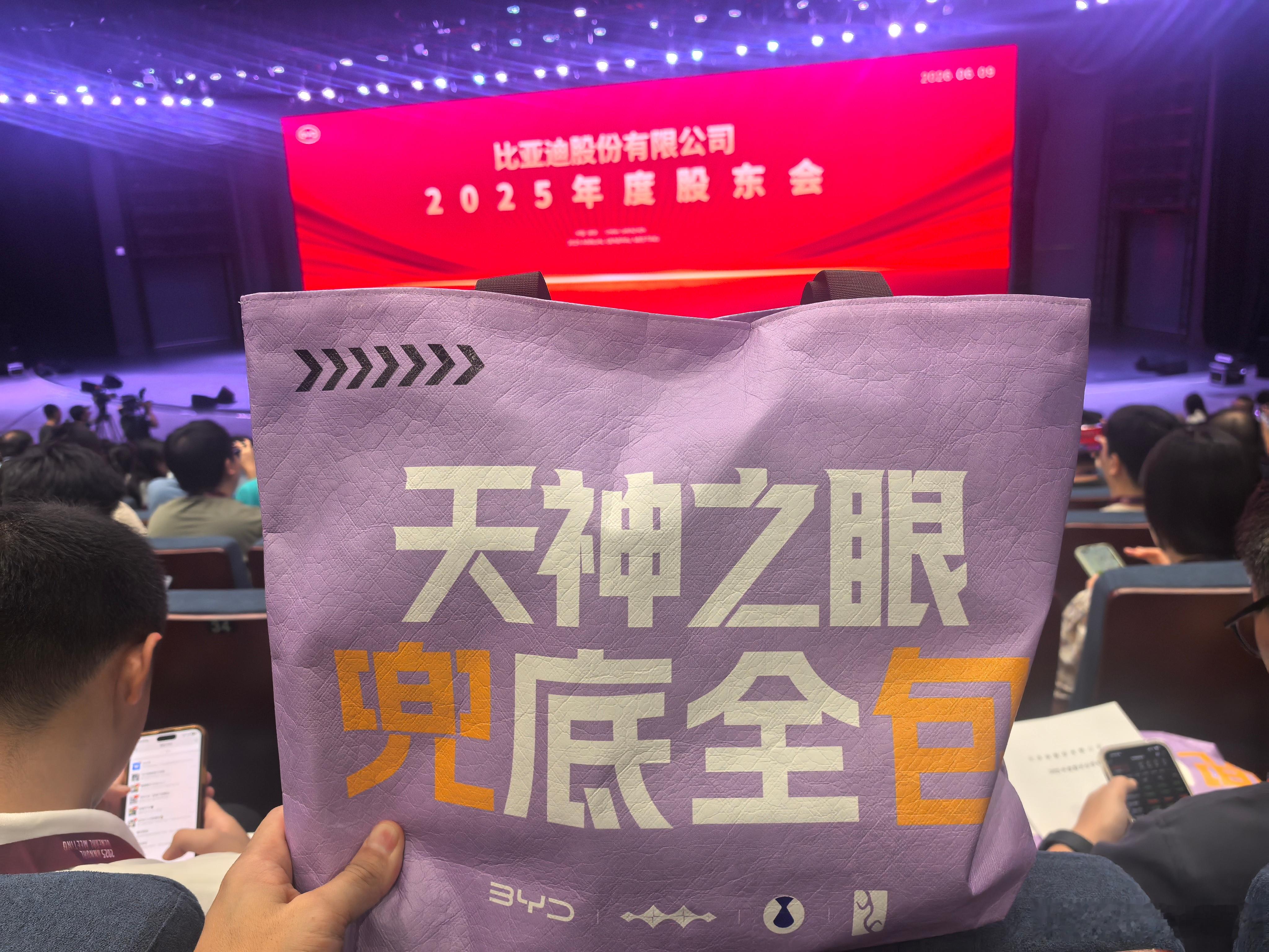 迪迪都兜比亚迪 深圳·比亚迪股份有限公司(六角大楼)