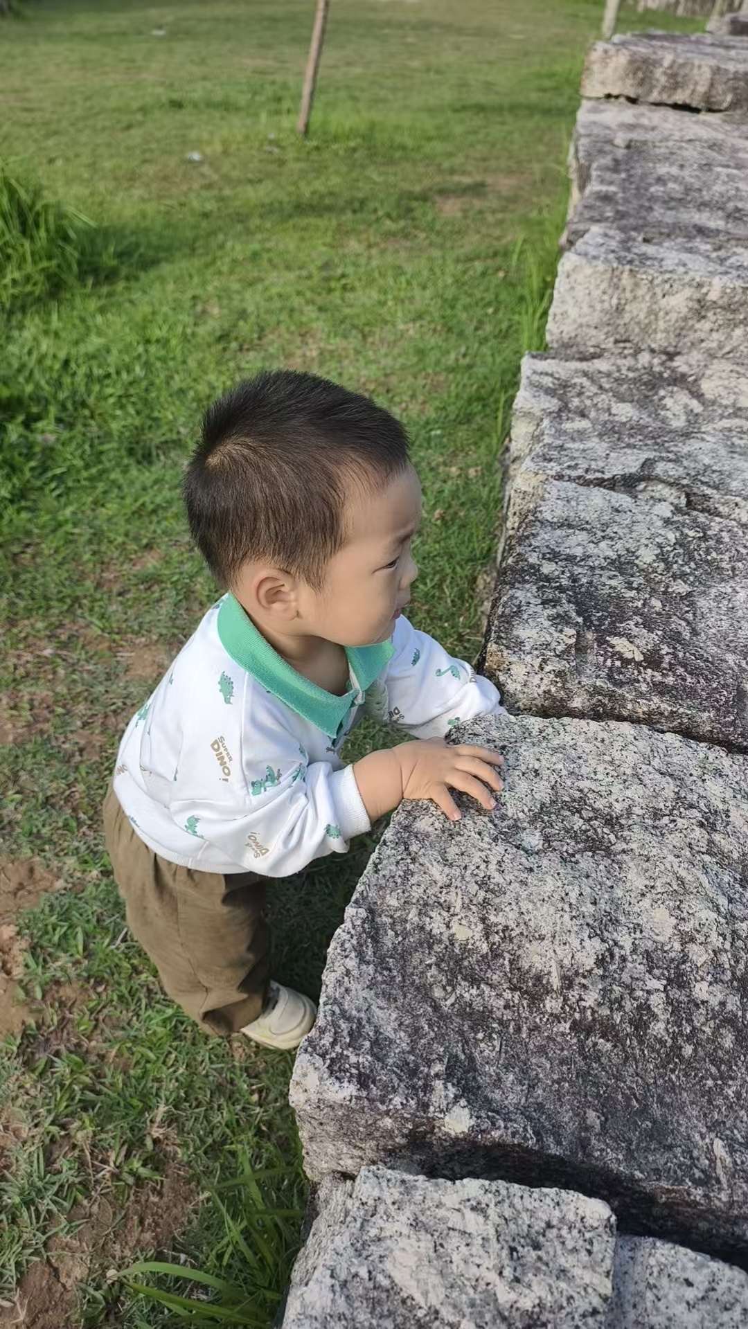 大家是不是都下班准备过五一节了？我还在一线奋战，这么努力，难道不值得大家一个赞吗