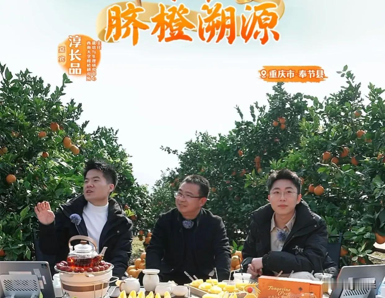 董宇辉这恐怖的带货能力，不服不行
这次重庆奉节脐橙溯源他们找了5家供货商
开播一